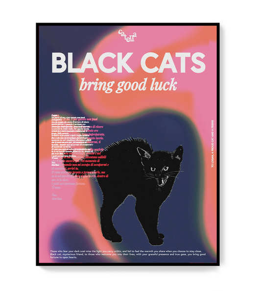 Poster Black Cats Bring Good Luck