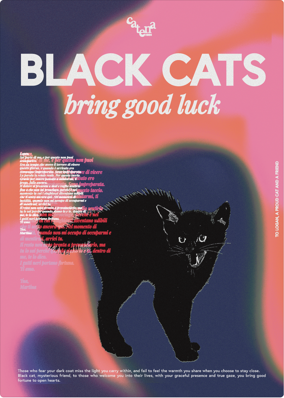 Poster Black Cats Bring Good Luck